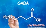 GABA và những lợi ích nổi trội với trẻ tăng động giảm chú ý