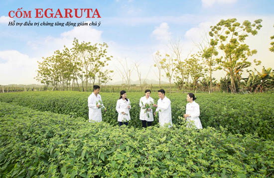 Vùng trồng dược liệu đạt chuẩn GACP của cốm Egaruta