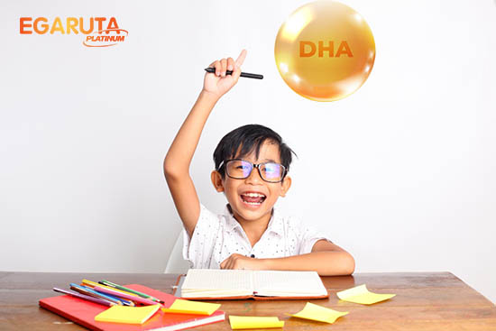  DHA giúp cải thiện trí nhớ, tăng cường tập trung